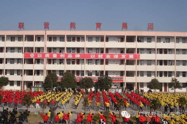 为什么选择联营学校？我只能回答成这样：你懂的